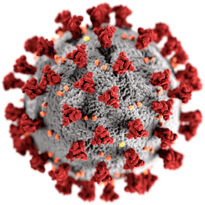 Gambar virus Korona